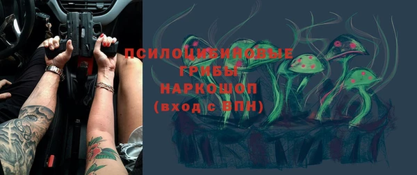 spice Алзамай