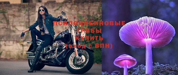 МДПВ Алексин